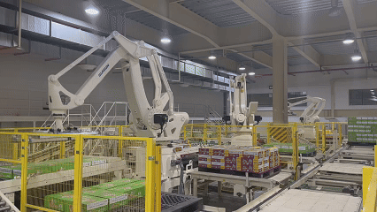 Handling & Palletizing